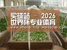 环境展示五