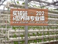 环境展示六