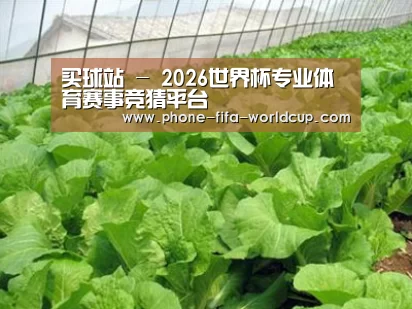 种植基地一